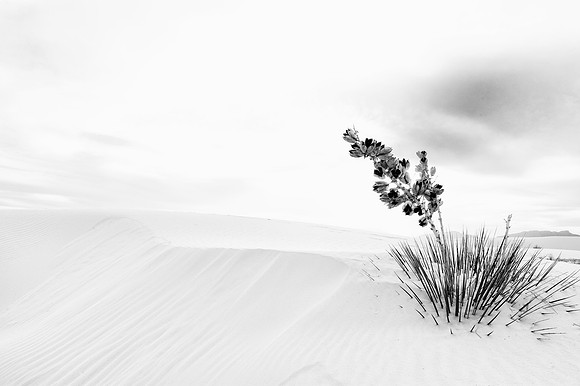 White Sands