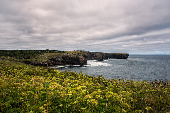 bell_island1