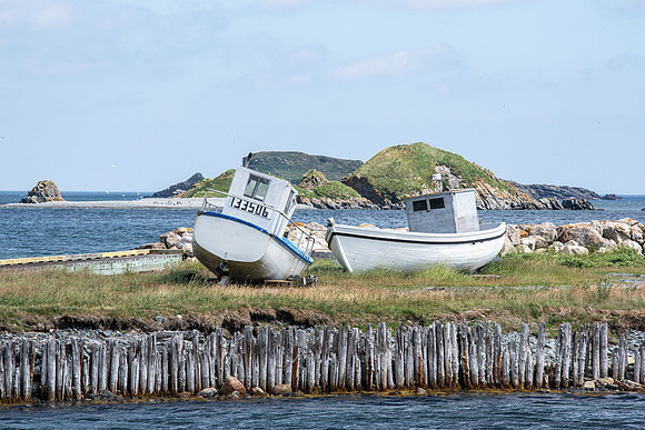 ferryland3