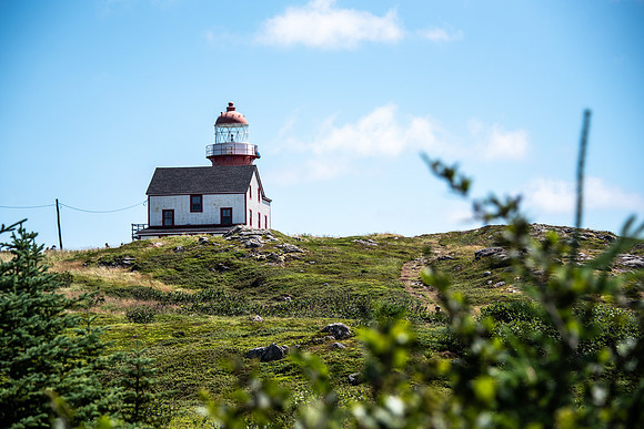 ferryland1