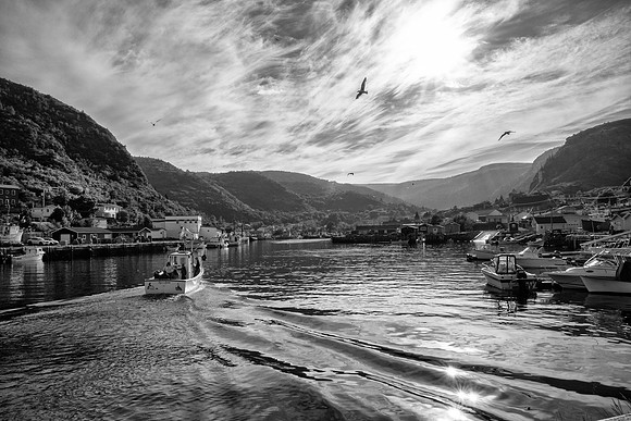 petty_harbour2