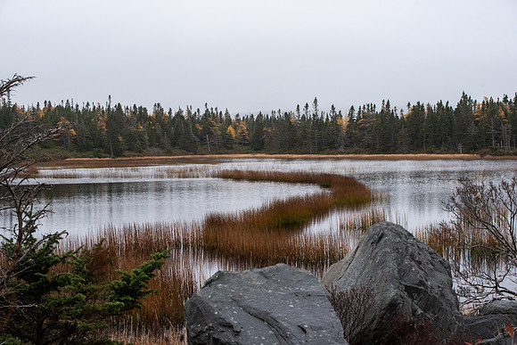 Southern_Shore1