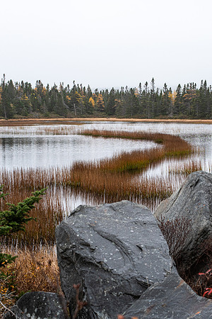 Southern_Shore2