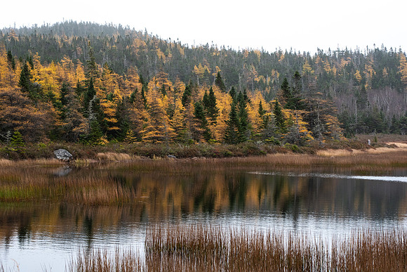 Southern_Shore3