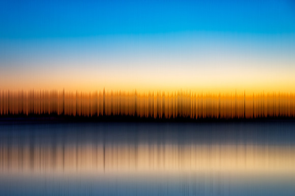 Bay_Bulls_Blur