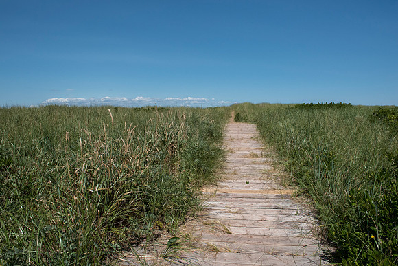 Nova Scotia beach
