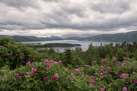 Norris Point, Newfoundland