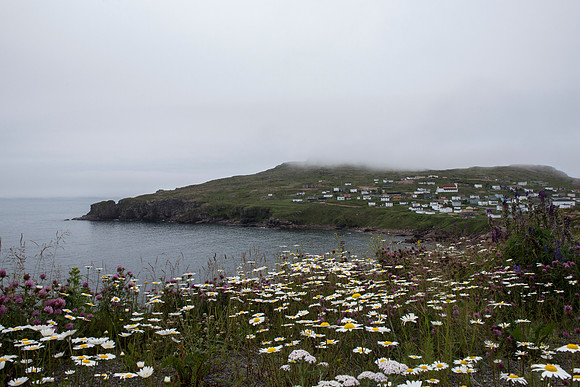 Bay de Verde NFLD