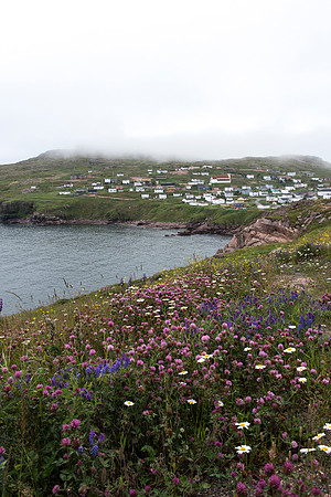 Bay de Verde, Newfoundland