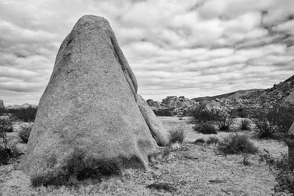 Joshua Tree National Park