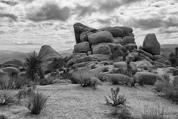 Joshua Tree National Park