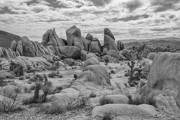Joshua Tree National Park