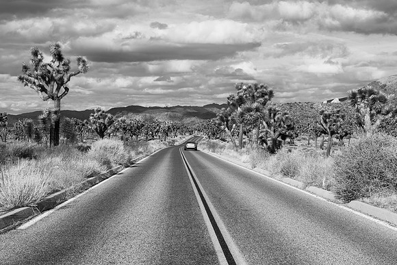 Joshua Tree National Park