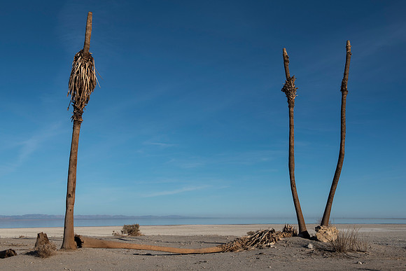 Salton City, CA