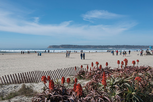 San Diego Coronado Island