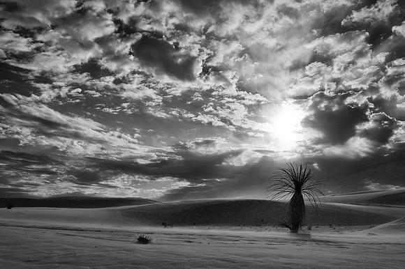 White Sands