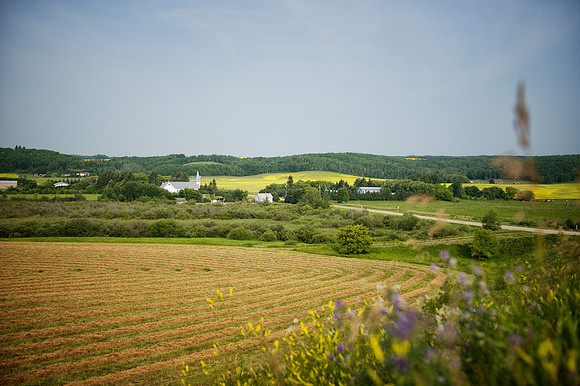 Polonia