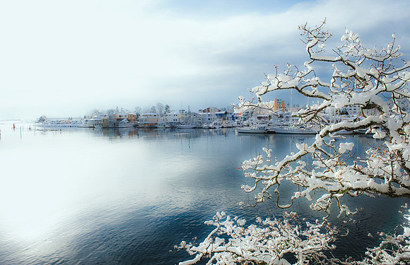 Winter Harbour