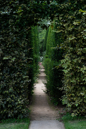 hidcote13