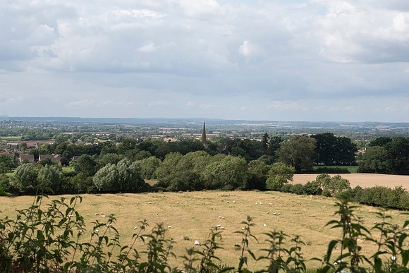 cotswolds