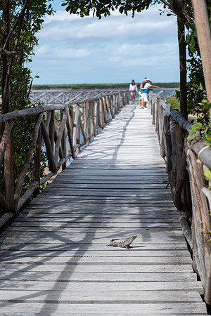 Punta Sur Ecological Park, Cozumel, Mexico