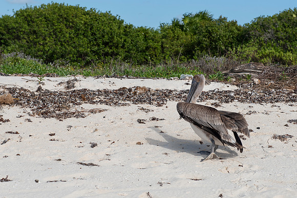 Punta Sur Ecological Park, Cozumel, Mexico