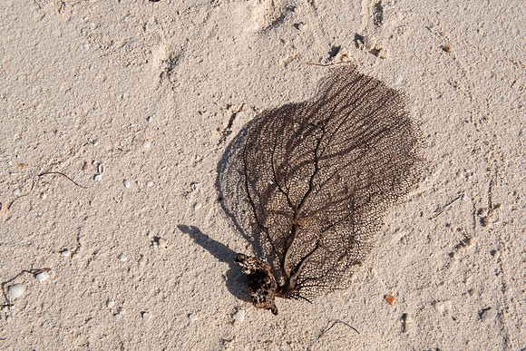 Punta Sur Ecological Park, Cozumel, Mexico