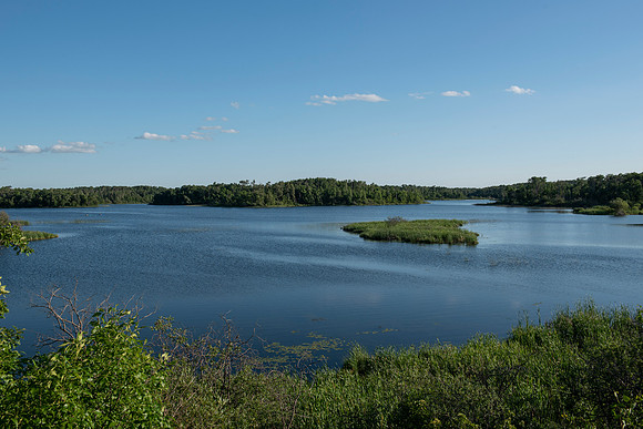 DSC_2444