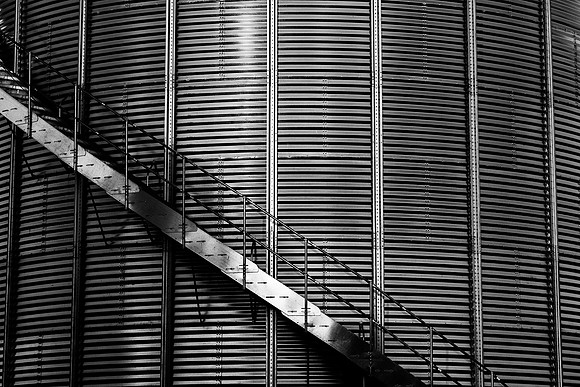 _DSC6834
