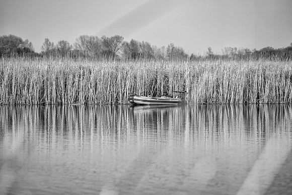 _PLR5846