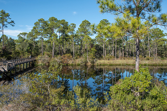 perdido key big lagoon state park 4