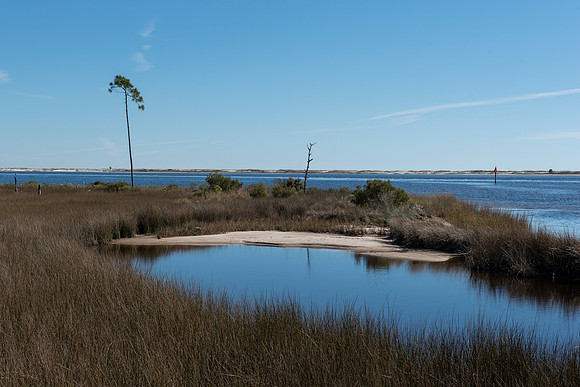 perdido key big lagoon state park 2