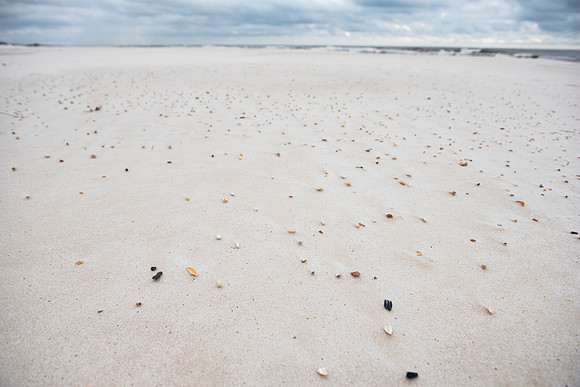 Pensacola Johnson Beach 3
