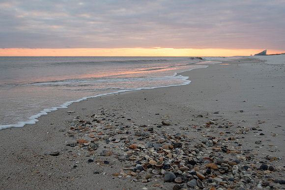 perdido key shells