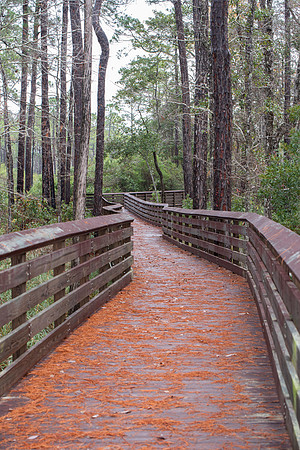pensacola tarkiln bayou trail bridge