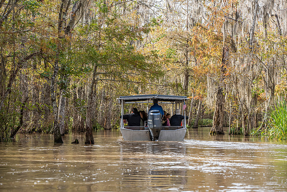 Slidell LA swamp tour boat