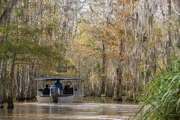 Slidell LA swamp tour boat 2