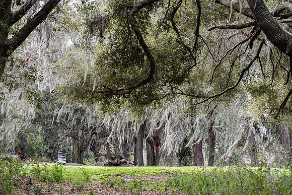 Lakeland FL trail guard