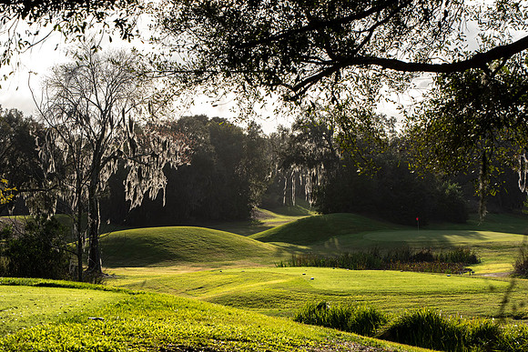Lakeland FL golf course 3