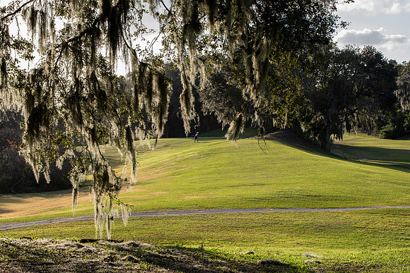 Lakeland FL golf course 4