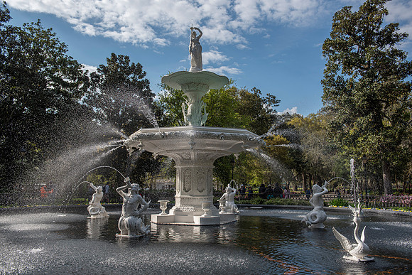 Savannah fountain
