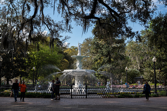 Savannah fountain 2