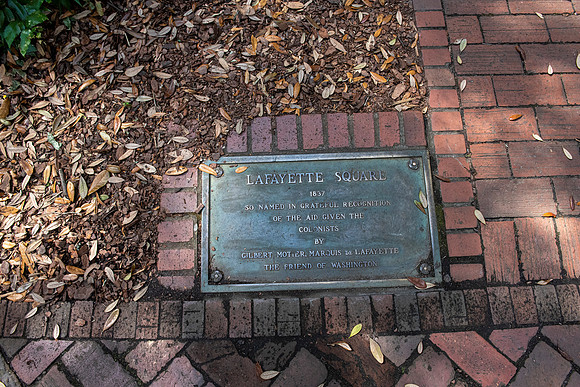 Savannah plaque