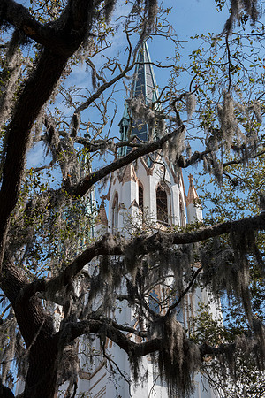 Savannah church spanish moss