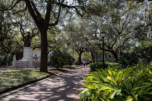 Savannah chippewa square