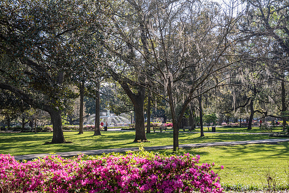 Savannah forsyth park