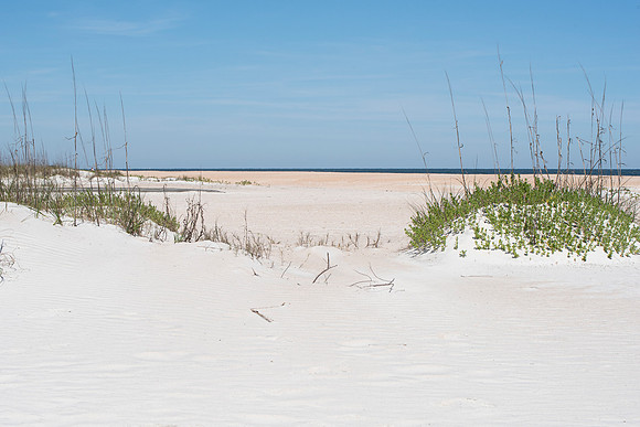 Florida Anastasia barrier island sand dunes 2