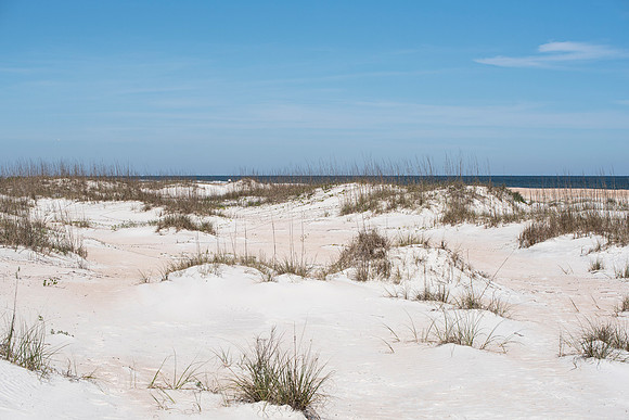 Florida Anastasia barrier island sand dunes