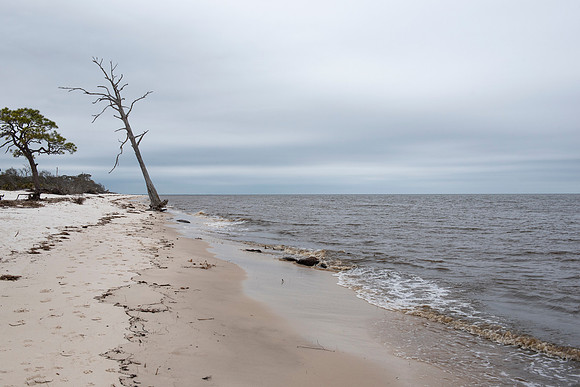 Florida Bald Point State Park beach 4