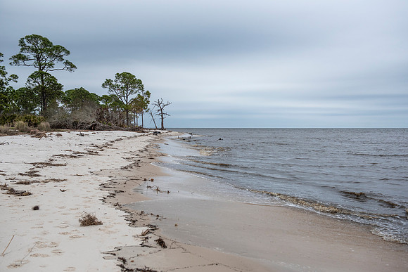 Florida Bald Point State Park beach